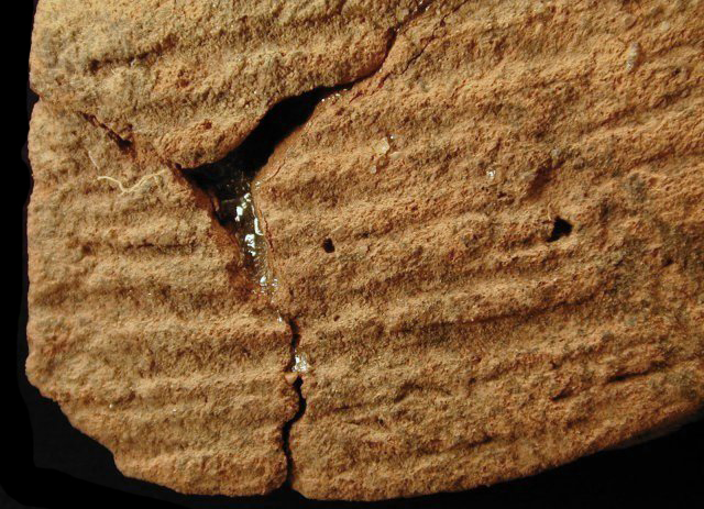 Accokeek cord-marked body sherds with close up view of cord-marking from Dorr, site 18AN19/69.